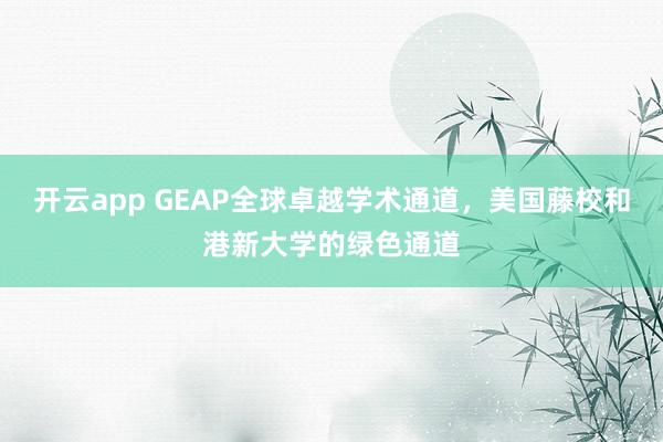 开云app GEAP全球卓越学术通道,美国藤校和港新大学的绿色通道