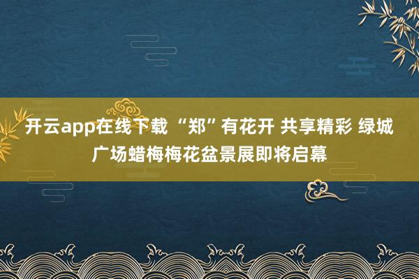 开云app在线下载 “郑”有花开 共享精彩 绿城广场蜡梅梅花盆景展即将启幕