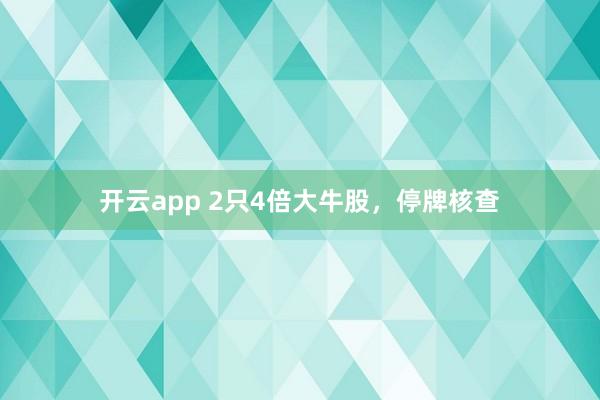 开云app 2只4倍大牛股，停牌核查