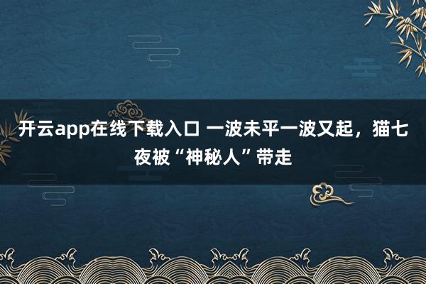 开云app在线下载入口 一波未平一波又起，猫七夜被“神秘人”带走