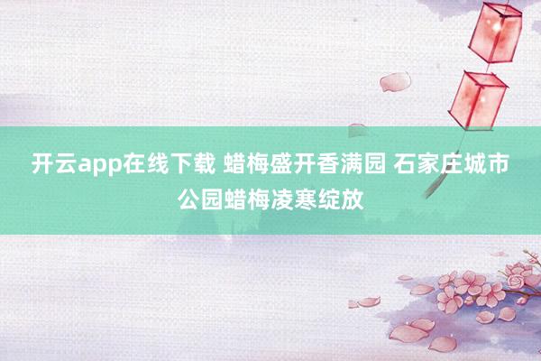 开云app在线下载 蜡梅盛开香满园 石家庄城市公园蜡梅凌寒绽放