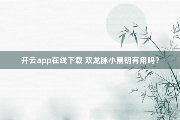 开云app在线下载 双龙脉小黑钥有用吗？